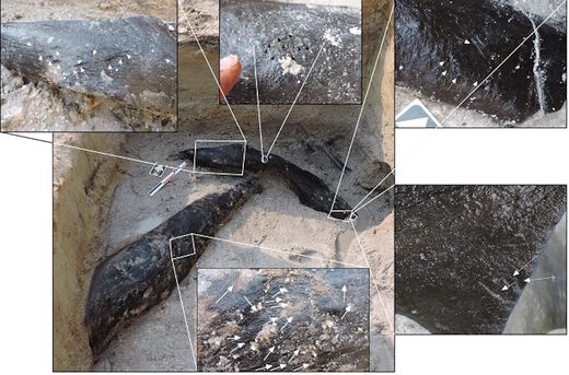 ancient wood planks zambia tool markings