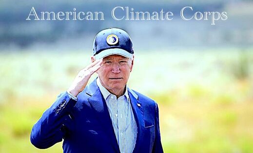 Bidensalute