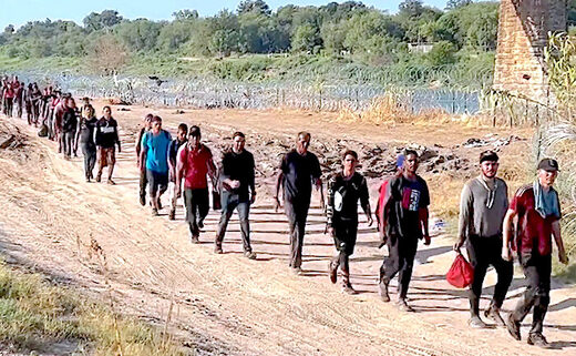 migrants