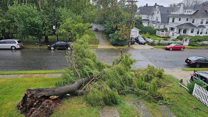 Click to enlarge tree down ophelia new jersey