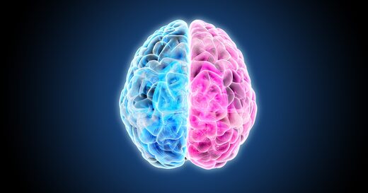 brain right left hemisphere