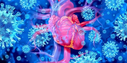 Study finds Covid vaccines damage ALL hearts