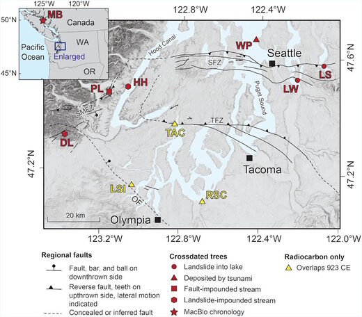 Click to enlarge earthquake history pacific northwest tree rings