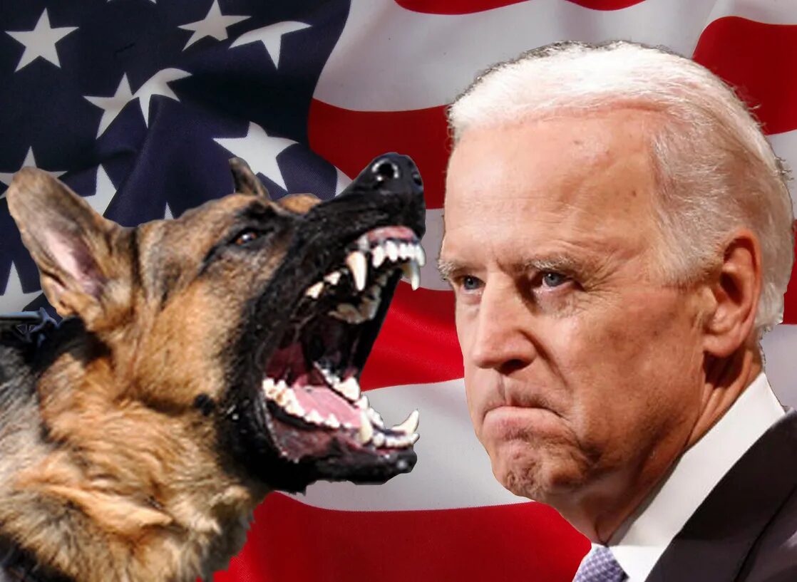 Click to enlarge White House Monkey and Dog
