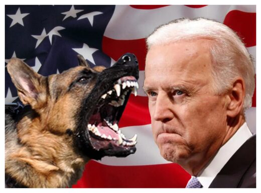 White House Monkey and Dog