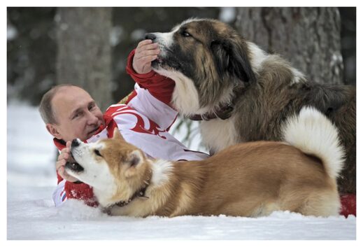 Putin with his Dogs