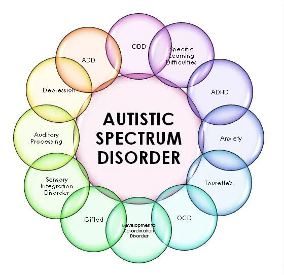 Click to enlarge Autistic Spectrum