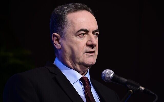 Click to enlarge Energy Minister Israel Katz