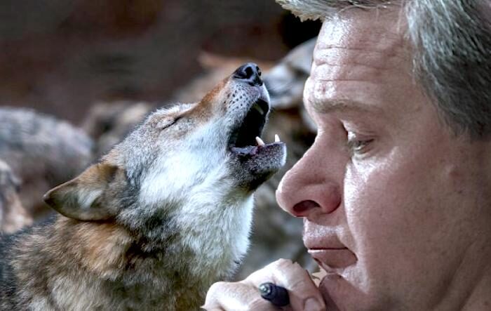wraywolf