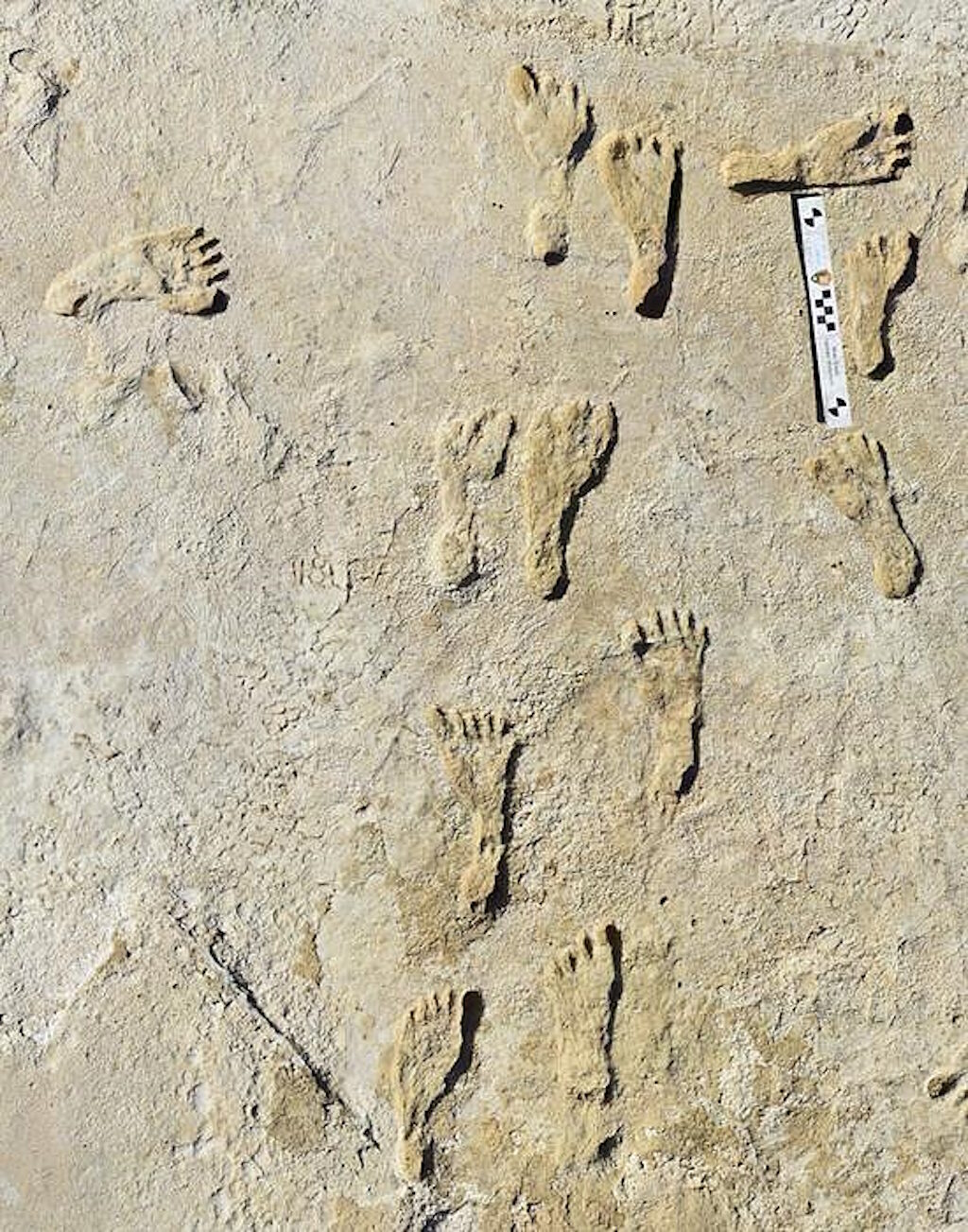 Click to enlarge ancient footprints lake otero south new mexico