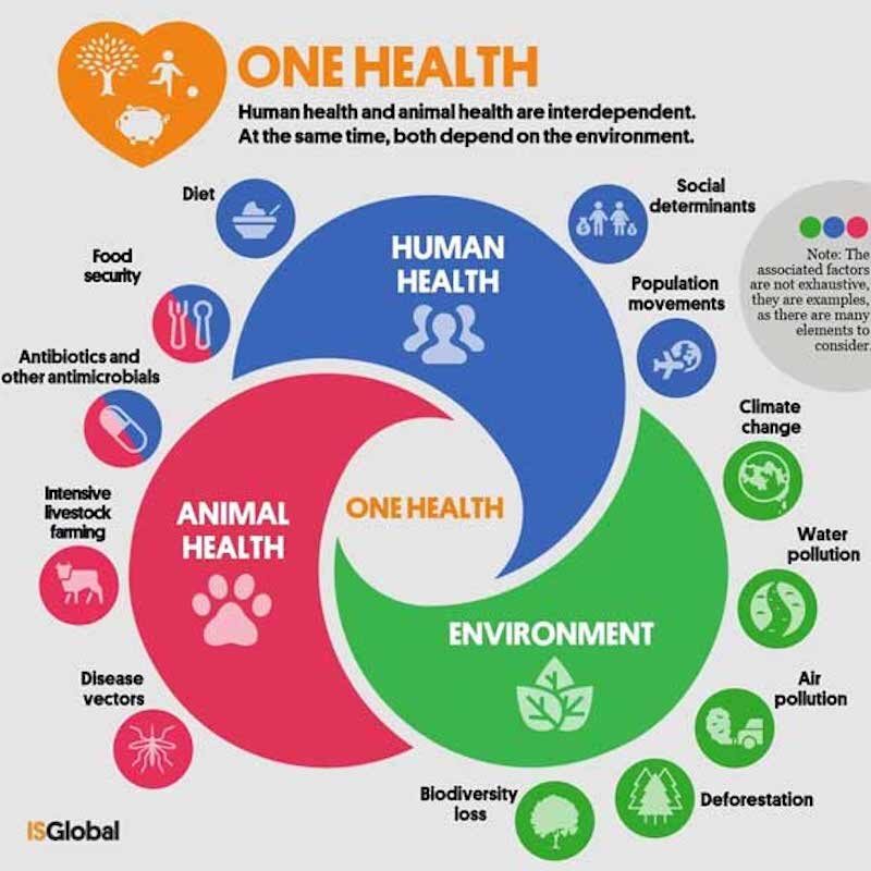 Click to enlarge one health