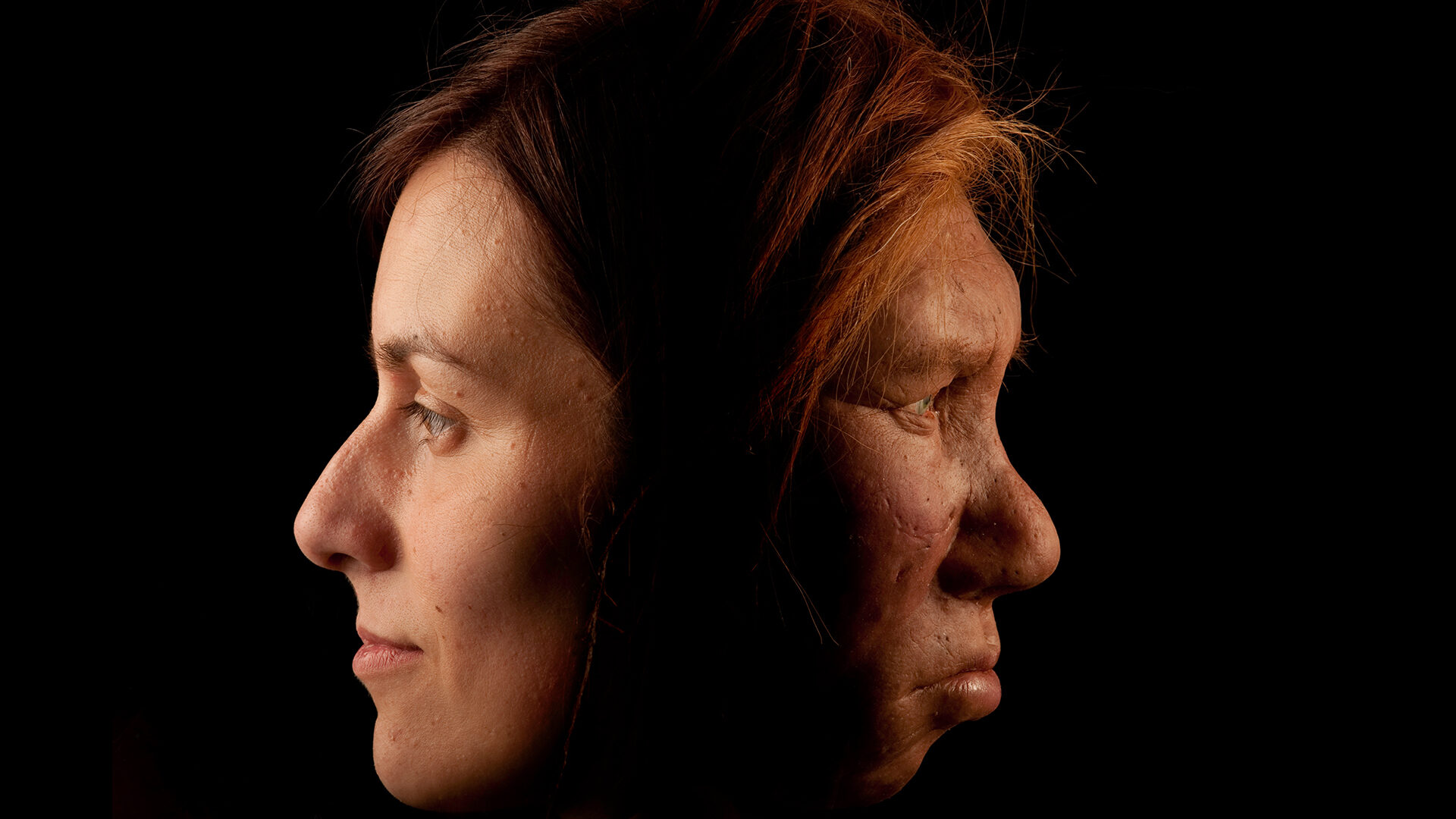 human and neanderthal faces