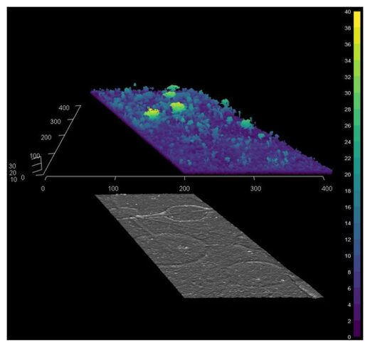 LIDAR Image