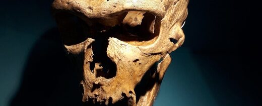 Neanderthal