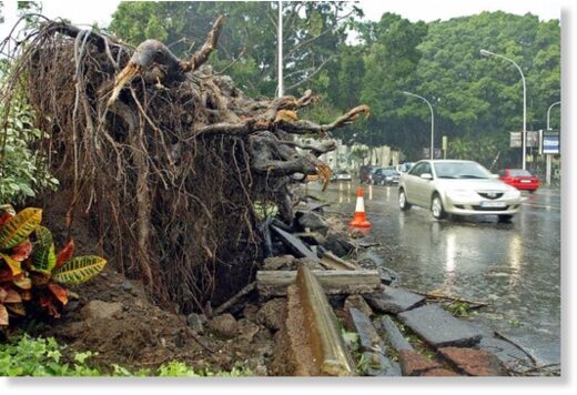Storm Bernard wreaks havoc across Spain.