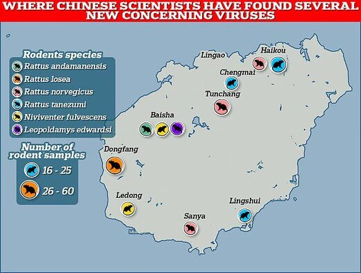 virus