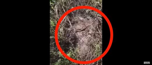 bigfoot footprint