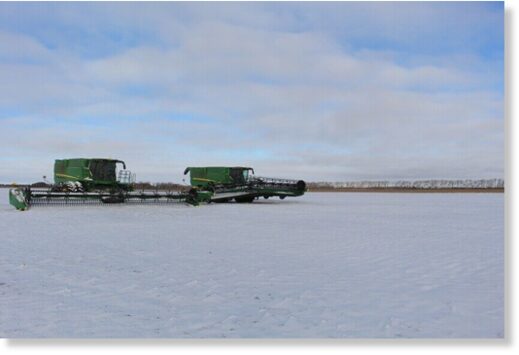 Click to enlarge A winter storm on Oct. 26-27, 2023, halted the soybean harvest in areas of North Dakota.