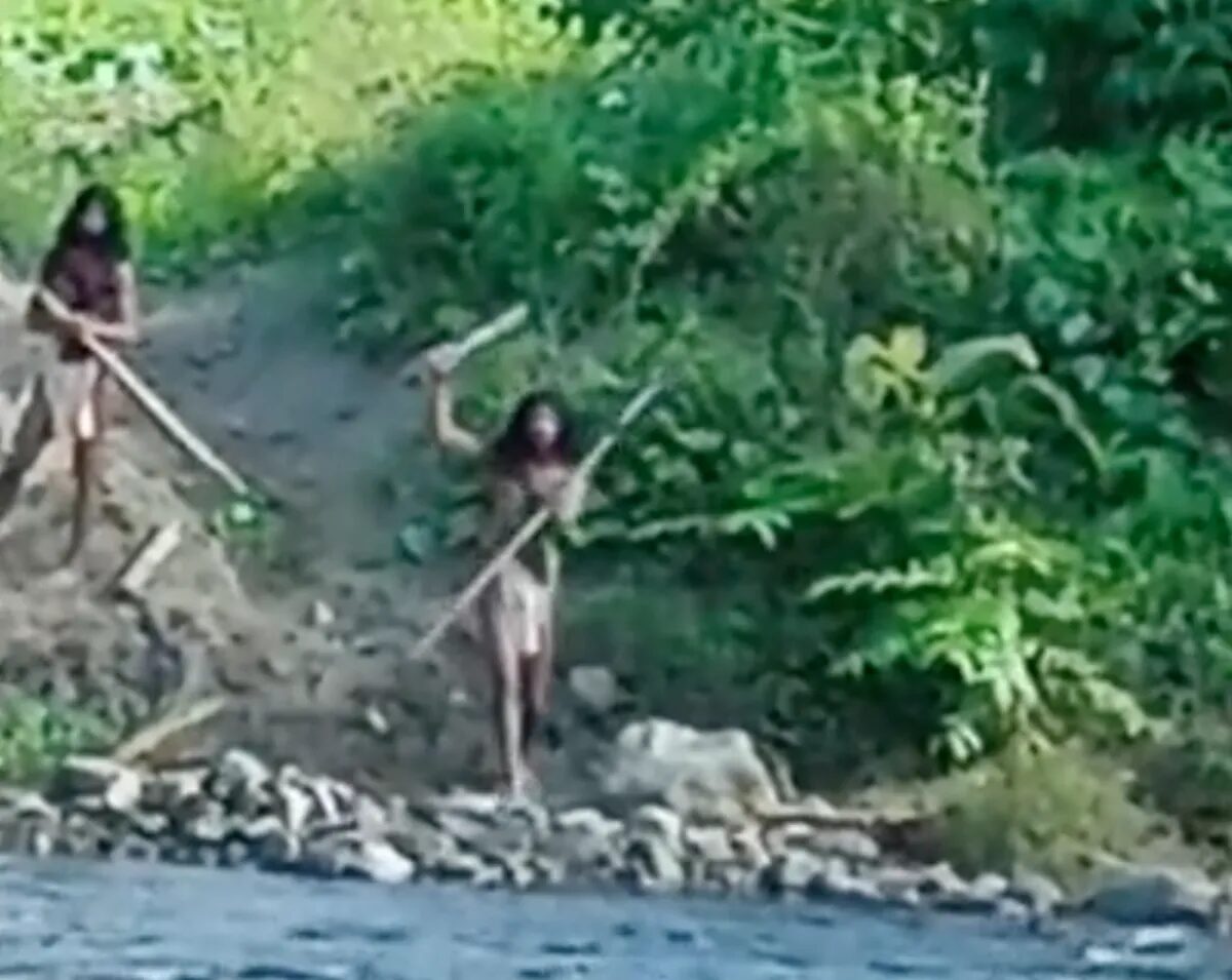 Uncontacted Tribe Hongana Manyawa