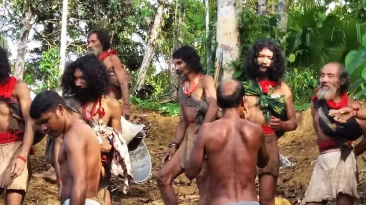 Uncontacted Hongana Manyawa