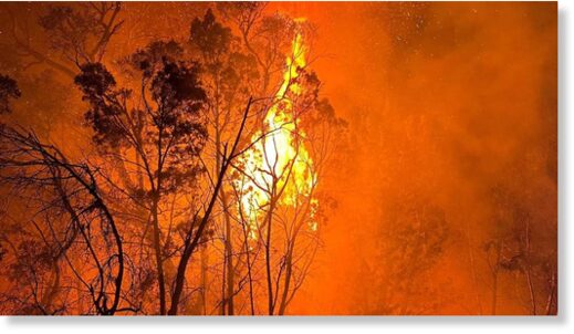 Fire bans are in place for several parts of QLD.