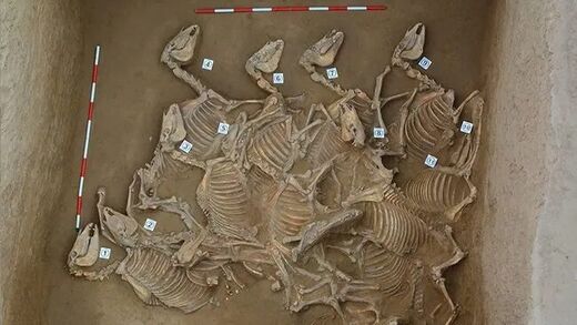 Click to enlarge china bronze age