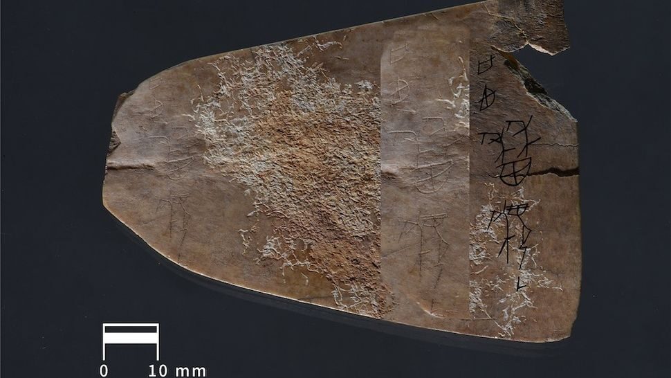 Click to enlarge oracle bone