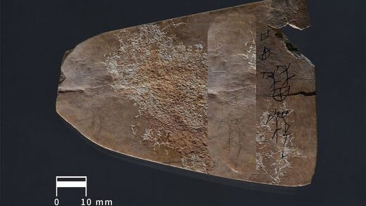 oracle bone
