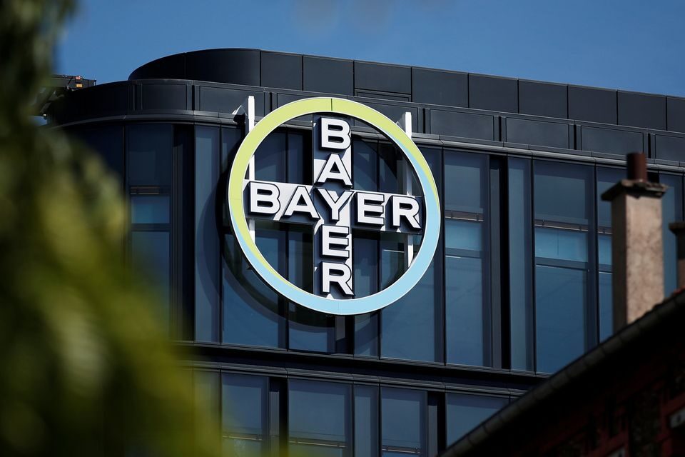Click to enlarge bayer company