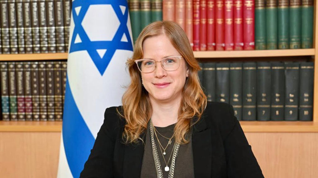 Dana Erlich israel ireland ambassador