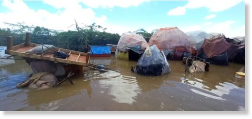 Click to enlarge Floods negatively impacted IDP (internally displaced person) camps in Jowhar, capital city of Hirshabelle state, Somalia, November 2023.