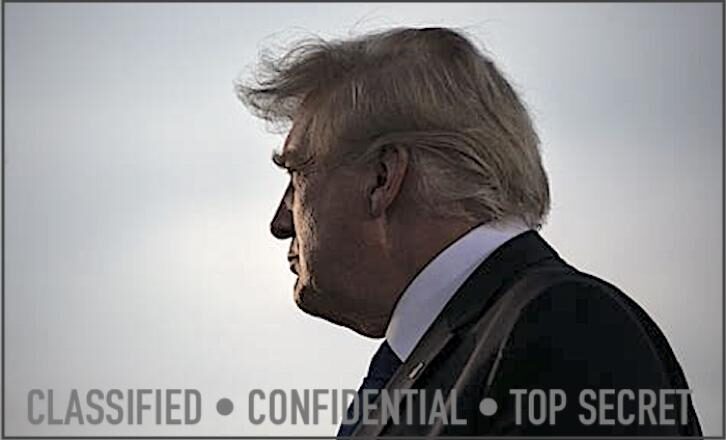 Click to enlarge donald