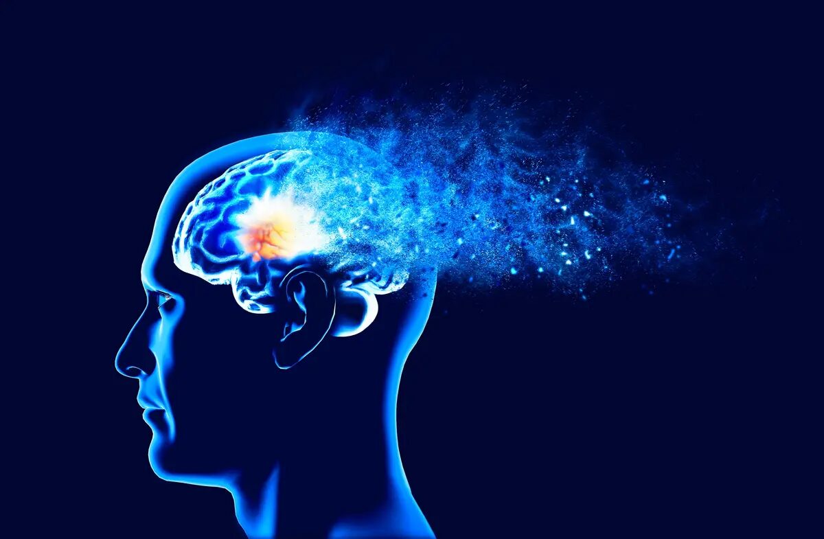 Click to enlarge Brain Illustration
