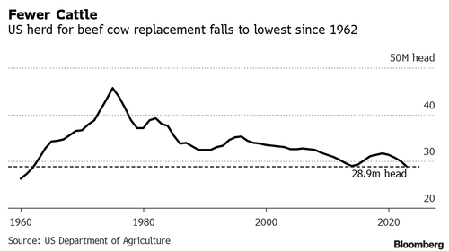 cattle herd decline