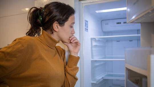 empty fridge, refrigerator