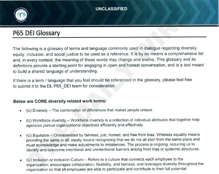 Click to enlarge nsa crt woke ideology glossary manual