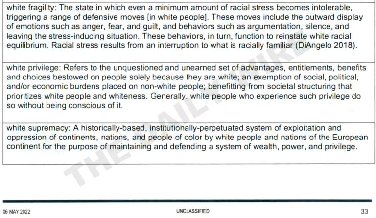 Click to enlarge nsa crt woke ideology glossary manual