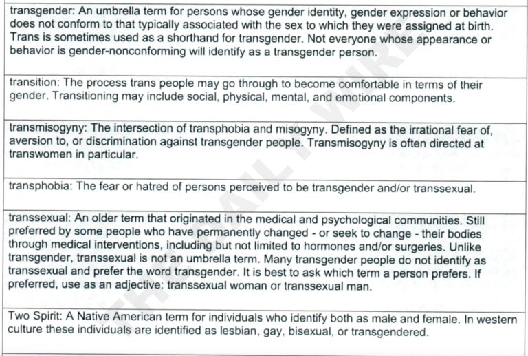 Click to enlarge nsa crt woke ideology glossary manual