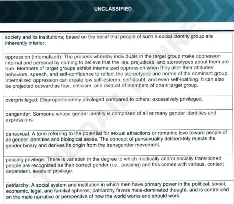 Click to enlarge nsa crt woke ideology glossary manual