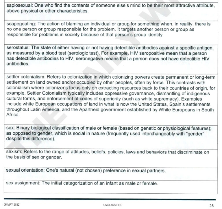 Click to enlarge nsa crt woke ideology glossary manual