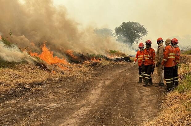 Firefighters tackle forest fires in the Pantanal wetland near Porto Jofre, Mato Grosso State, Brazil, Nov. 13, 2023.