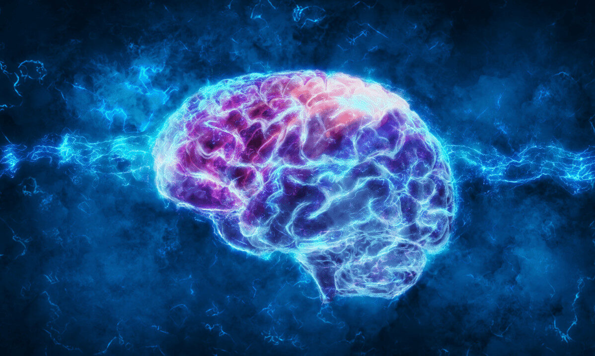 Click to enlarge brain