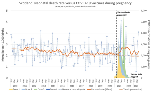 Click to enlarge scottish deaths