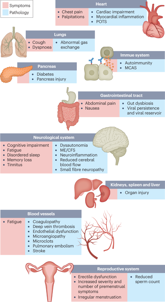 Long COVID symptoms