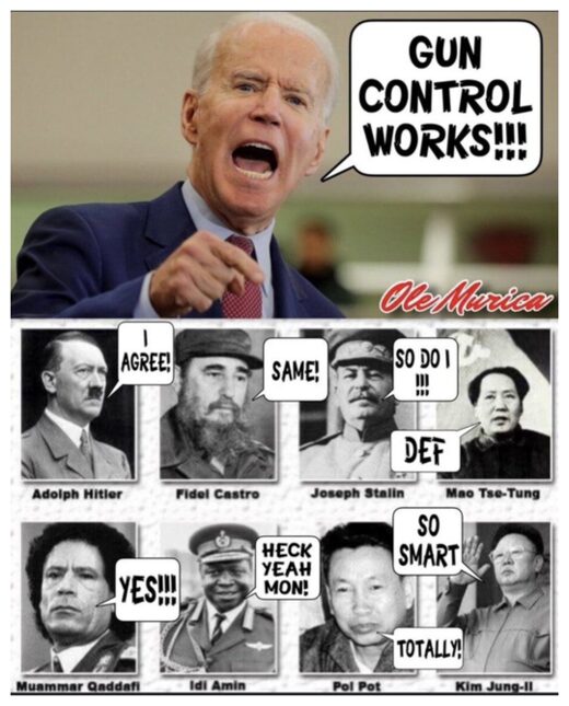 Gun Law