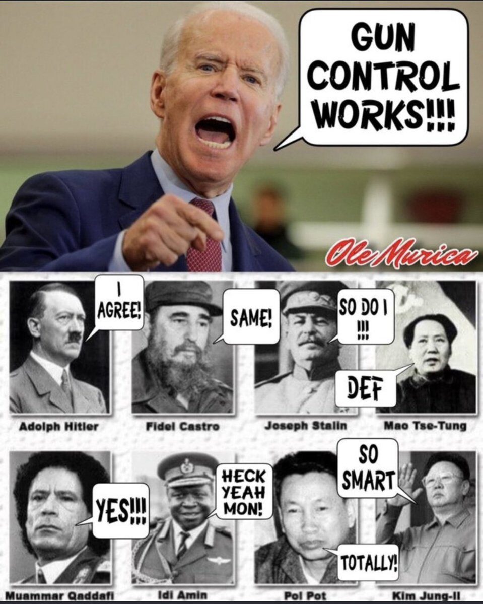 Gun Law