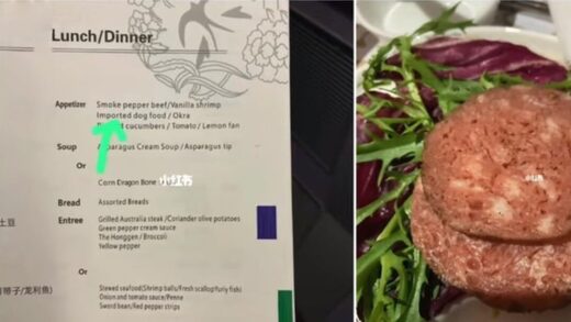 imported dog food menu