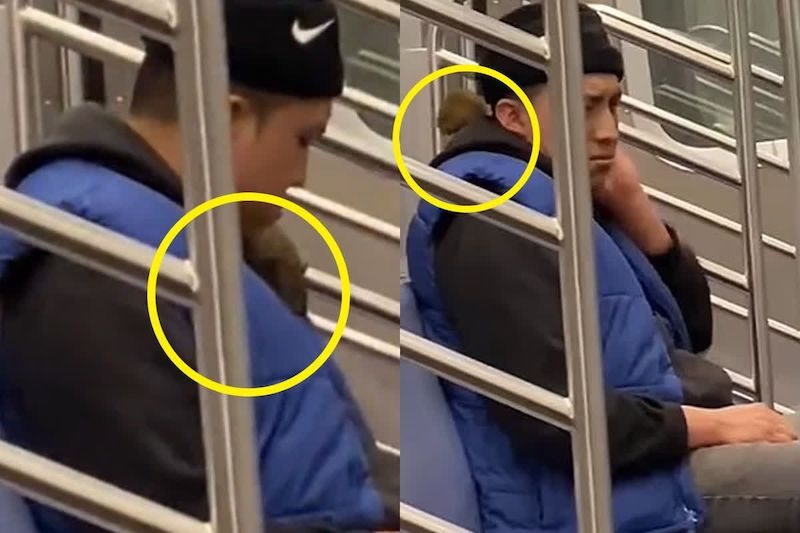 rats in nyc subway