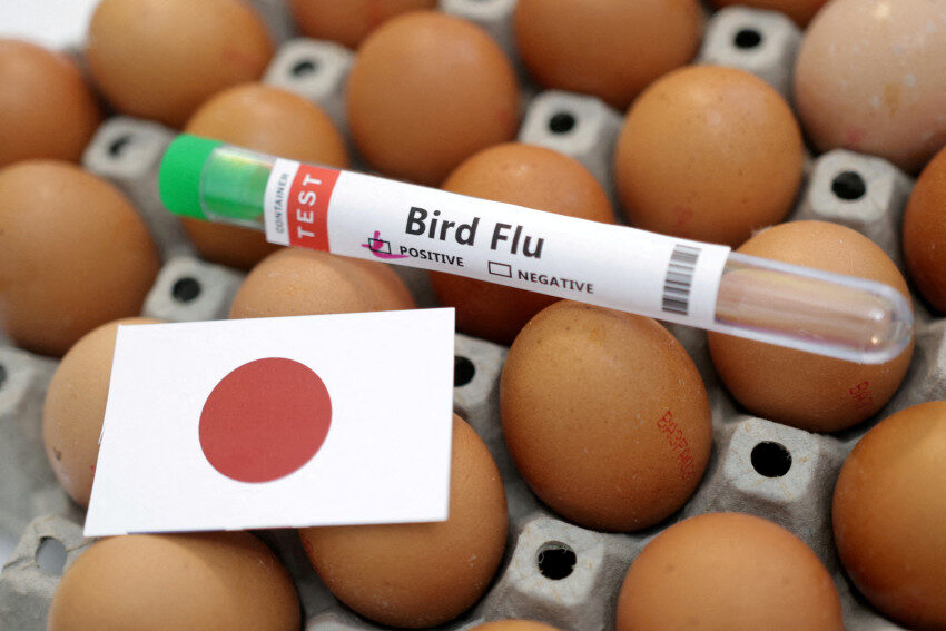 japan bird flu