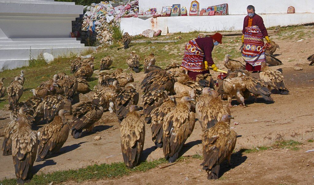 Sky burial